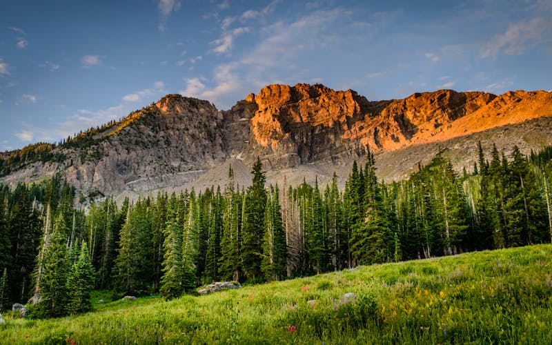 pexels-photo-1324803