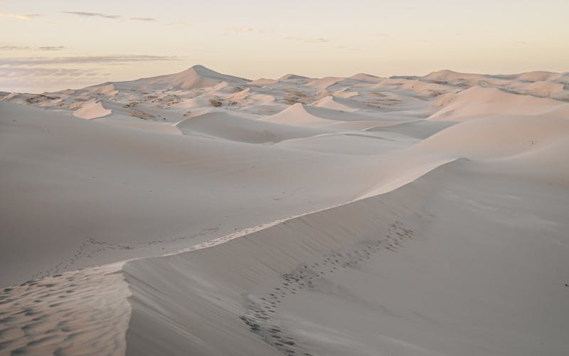 pexels-photo-17923083