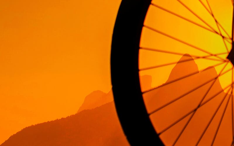 pexels-photo-32165955-1