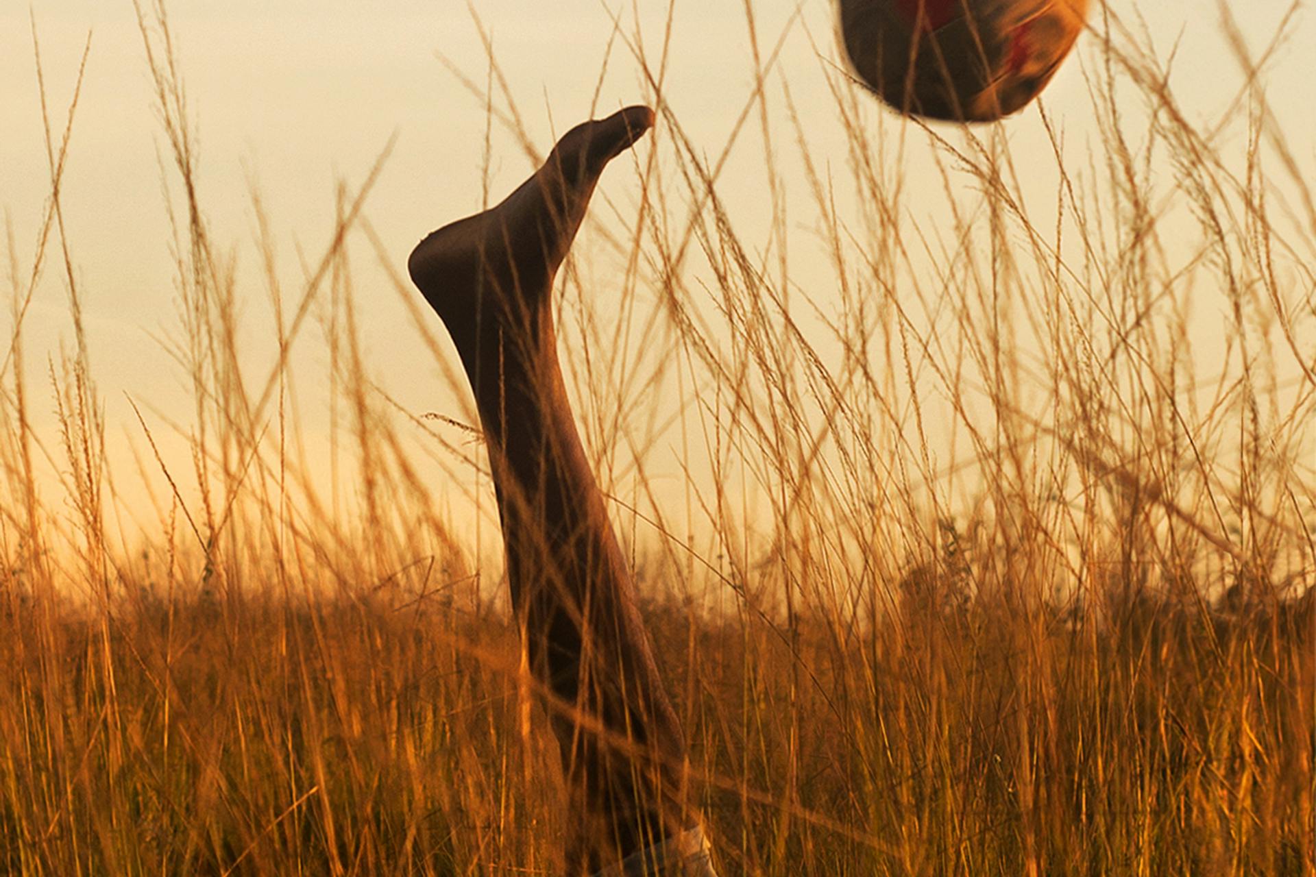 pexels-photo-32389640